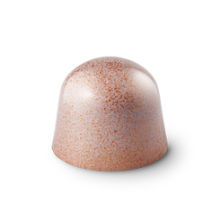 Passievrucht Hazelnoot bonbon met melkchocolade
